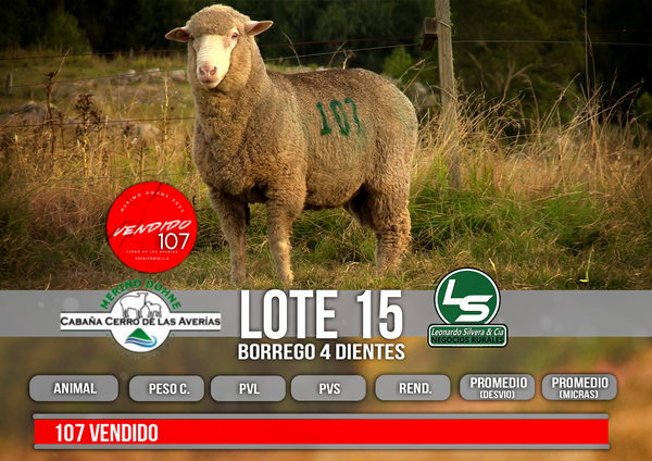 Lote LOTE 15