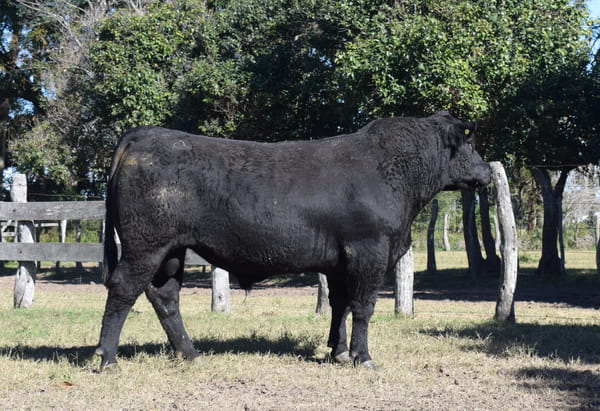 Lote CABAÑA “COEMBOTÁ” de Calderón RP 095