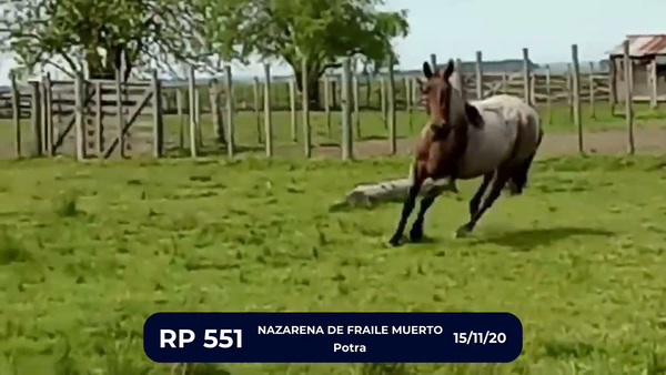 Lote NAZARENA DE FRAILE MUERTO