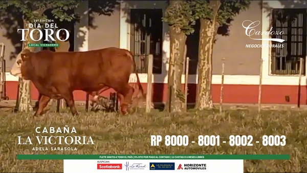 Lote Cabaña la victoria - Braford