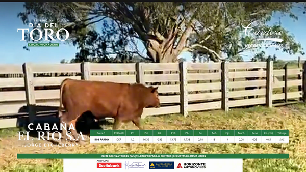 Lote El Rio Angus - Brete 1