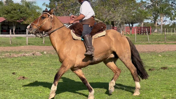 Lote 1 Montados en Corrientes, Curuzú-Cuatiá