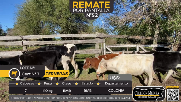 Lote 7 Terneras en Artilleros, Colonia
