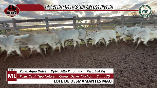 Lote ESTANCIA DON ABRAHAN