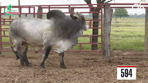 Lote Brahman