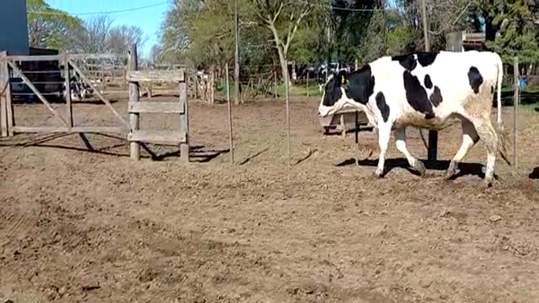 Lote Albrecht Ernesto, Horacio y M.Elena