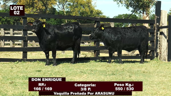 Lote Cabañas de Tradición - Lote 02