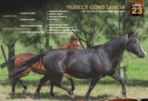 Lote YUBELY CONSTANCIA