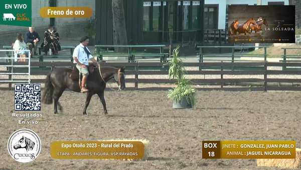 Lote JAGUEL NICARAGUA - CORREA DA SILVA, ANA PAULA