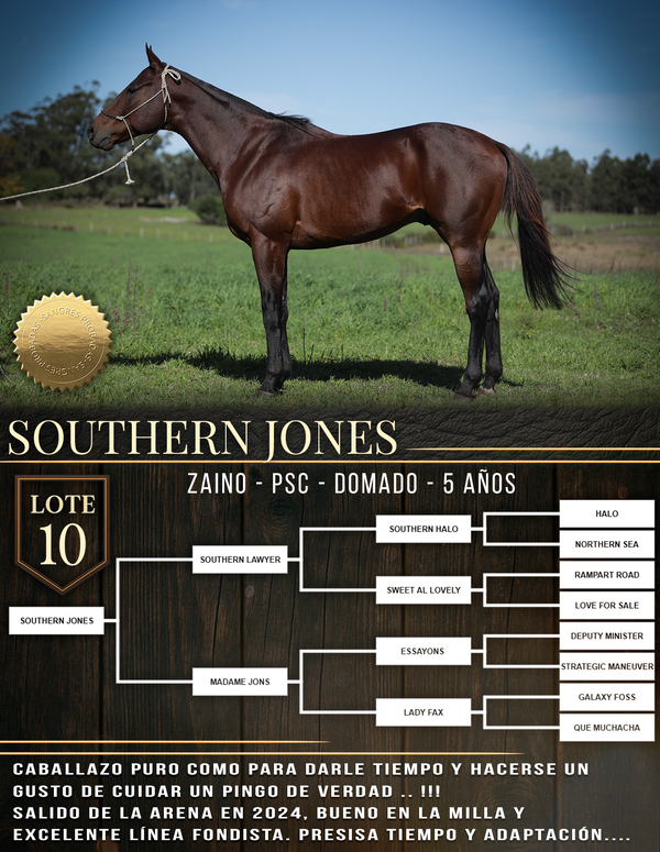 Lote SOUTHERN JONES
