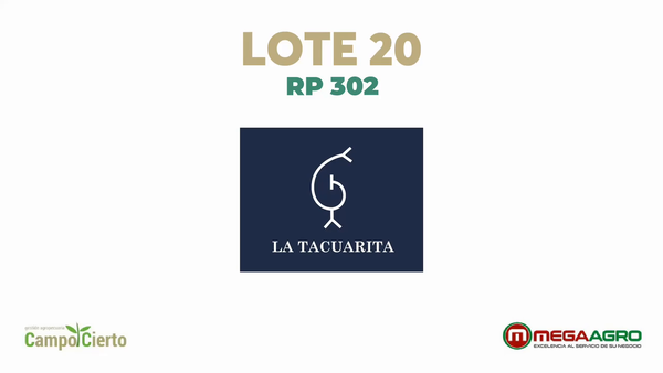 Lote LA TACUARITA