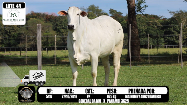 Lote LOTE  44-RP 5417