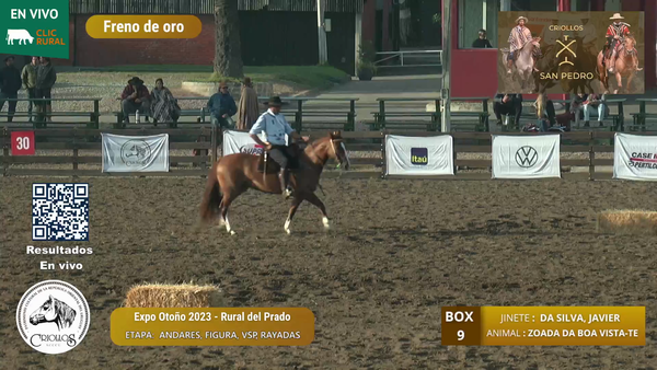 Lote LAS CAÑAS MEDIA VUELTA - VILLAMOR, MAURO