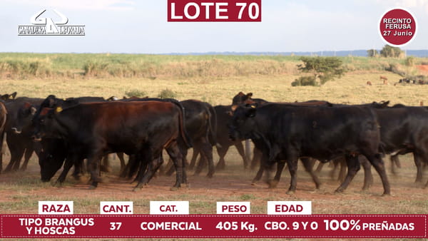 Lote Reproductores de Alborada - Lote 70