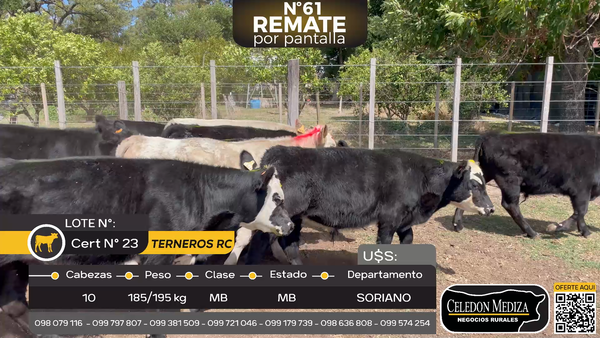 Lote 10 Terneros en ruta 12, a 3 km de Palo Solo, Soriano