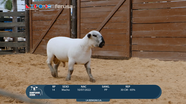 Lote LOTE 10 -  BOZAL