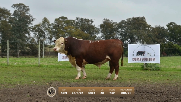 Lote Lote 1 Hereford - Santa Luisa