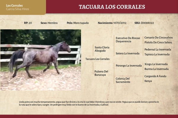 Lote Tacuara Los Corrales (RP 20) - Cabaña Los Corrales