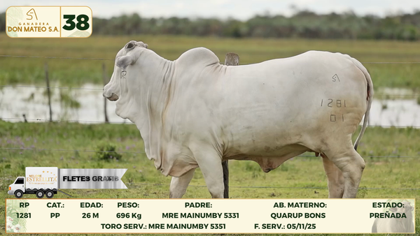 Lote LOTE 38