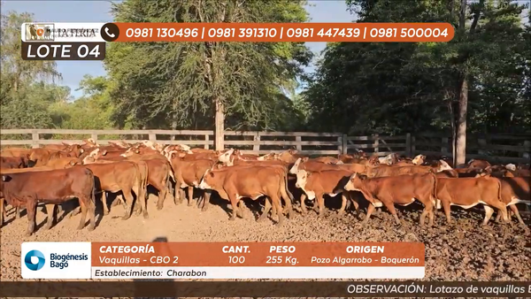 Lote ESTANCIA EL CHARABON