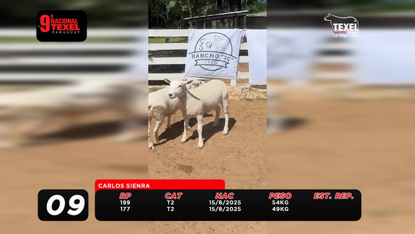 Lote LOTE 9