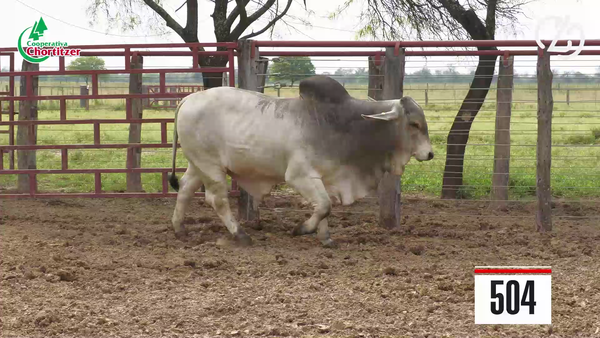 Lote Brahman