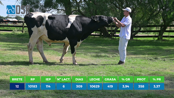 Lote Toros, Florida