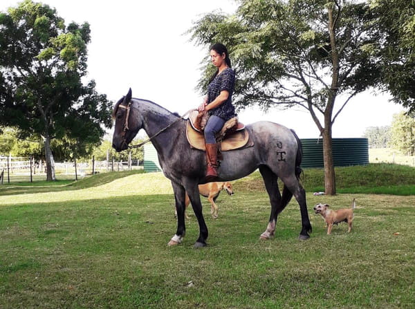 Lote LAGRIMA ESCONDIDA