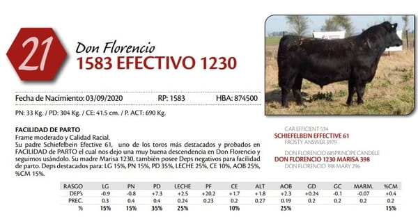 Lote TORO