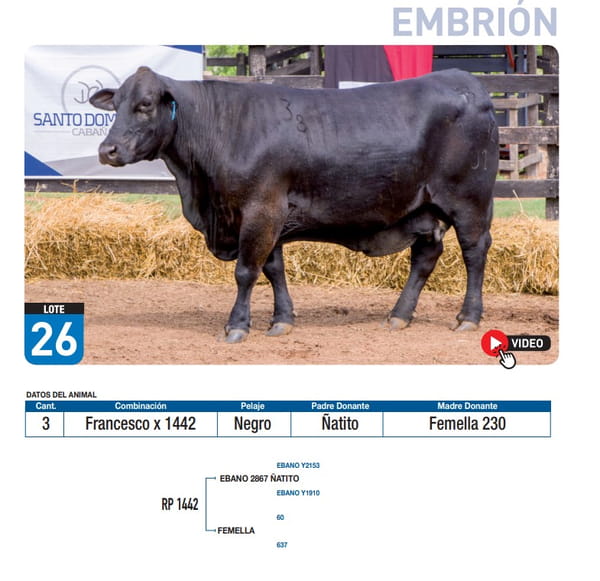 Lote Francesco x 1442