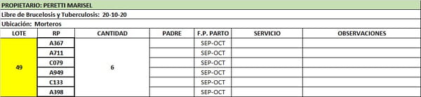 Lote Vaquillonas preñadas