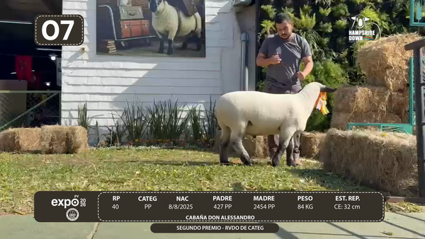 Lote LOTE 7 - BOZAL