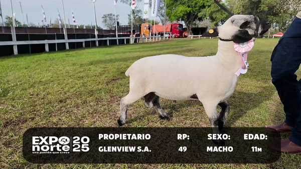Lote RP 49
