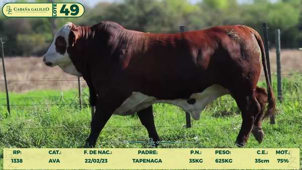 Lote LOTE 49