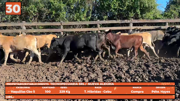 Lote LOTE 30