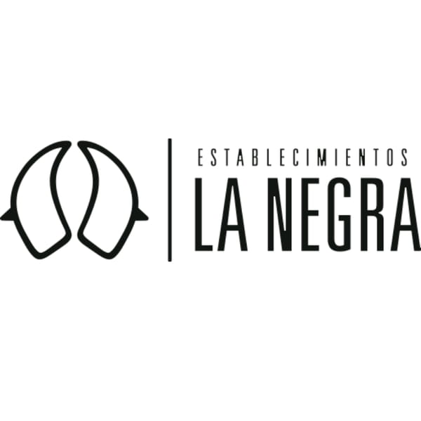 Lote Corral 1 - Vaquillonas