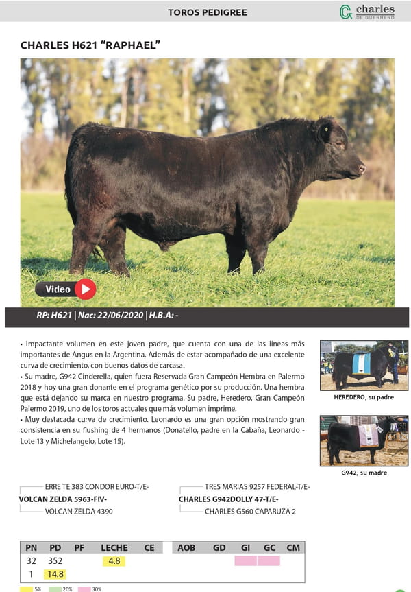 Lote TOROS PEDIGREE
