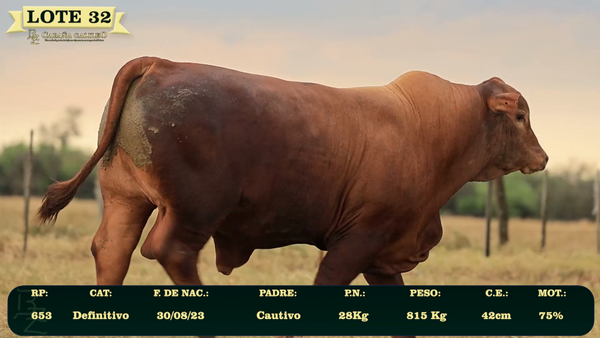 Lote LOTE 32