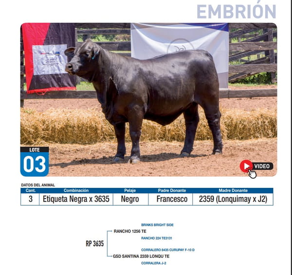 Lote Etiqueta Negra x 3635