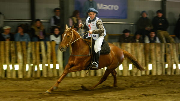 Lote EQRA MANDARINA