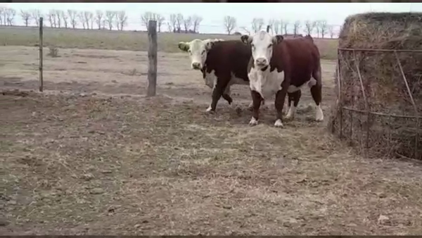 Lote CABAÑA MI PARAISO