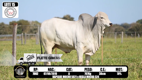 Lote LOTE  15-RP 7092