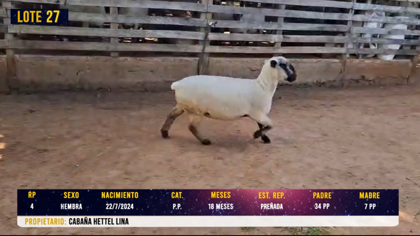 Lote LOTE 27