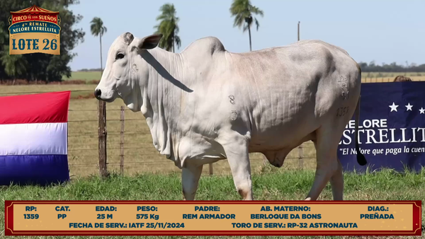 Lote LOTE 26