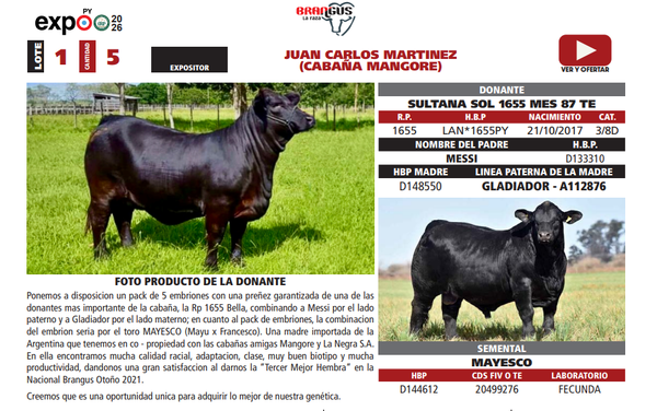 Lote LOTE 1