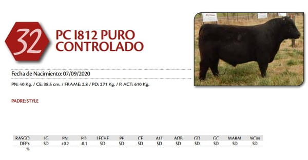 Lote TORO