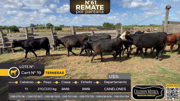 Lote 11 Terneras en Canelones, Canelón Chico