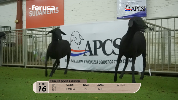 Lote Nacional Santa Inés Campo - Lote 16