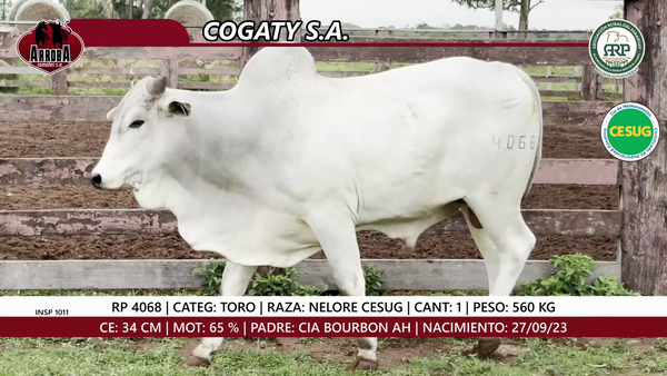 Lote TORO