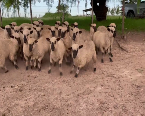 Lote 26 Corderas en Soriano, Dolores